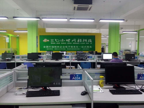 桂林三只小猪网络科技 以匠心技术，赋能网络技术服务新高度