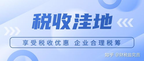 网络技术服务公司能否通过个体工商户核定优惠降低税负